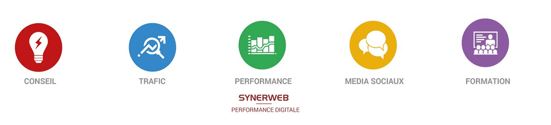 SYNERWEB cover